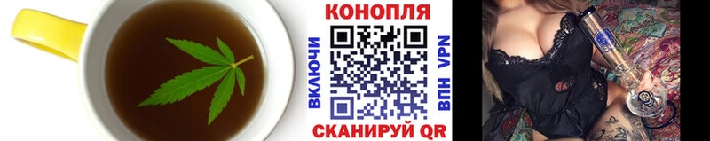 как найти   Шацк  Еда ТГК конопля 