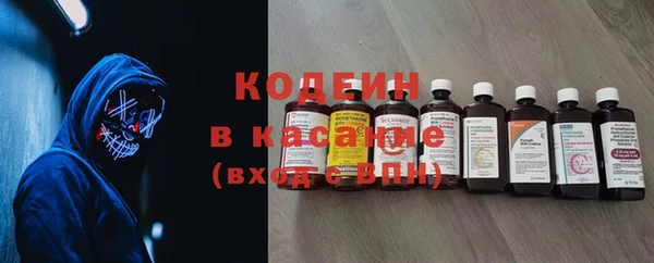 гашик Алексин