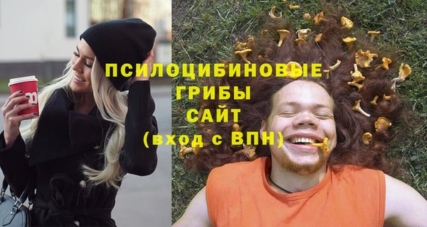 гашик Алексин