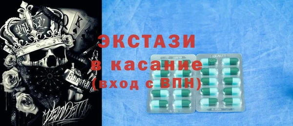 гашик Алексин