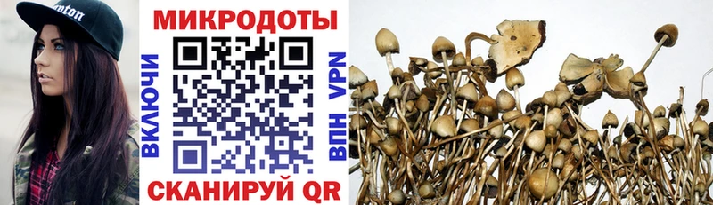 Псилоцибиновые грибы Psilocybine cubensis  Шацк 